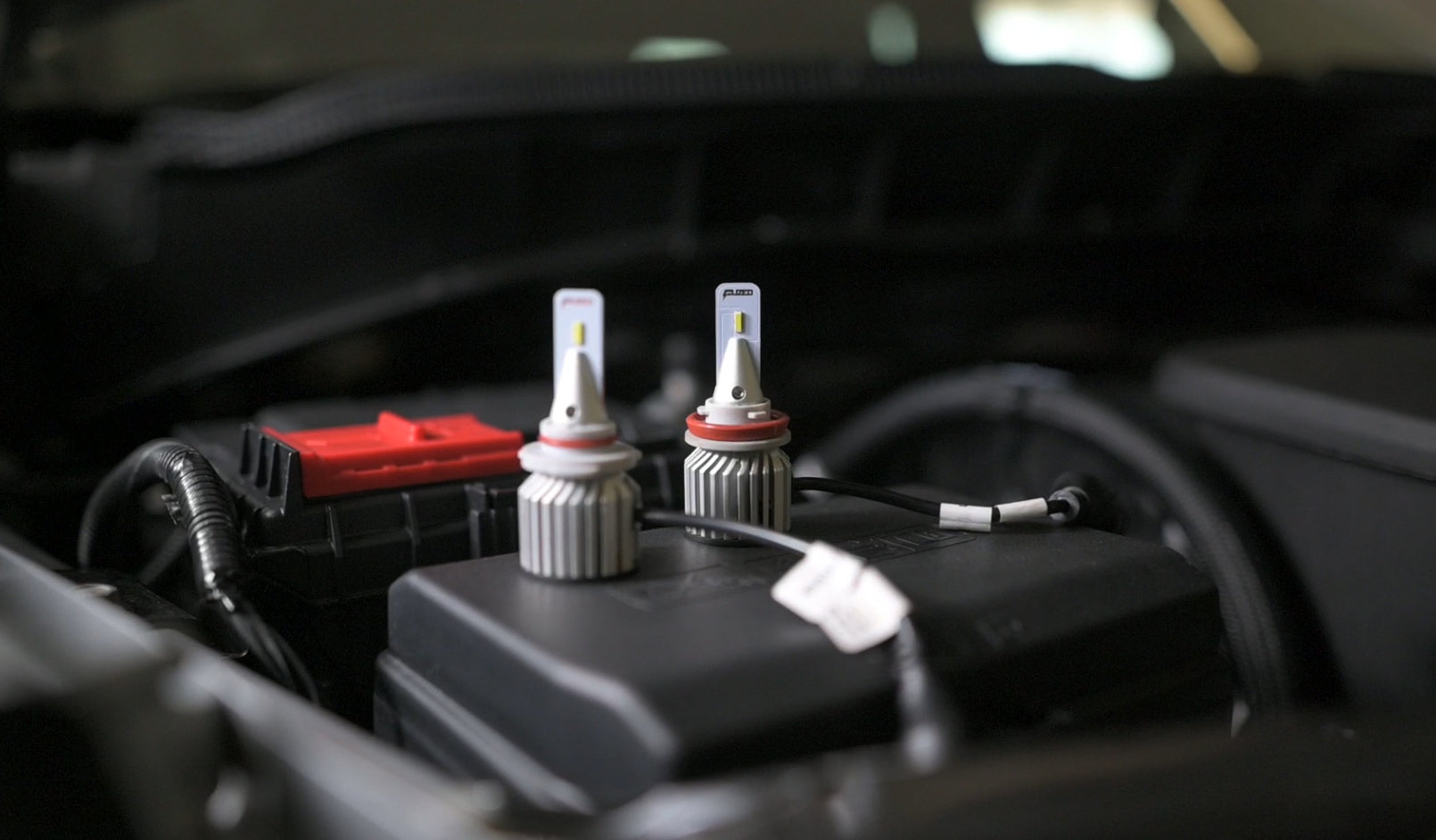 (High Beam) FUZED LED H9 F1 Headlight Bulb Set