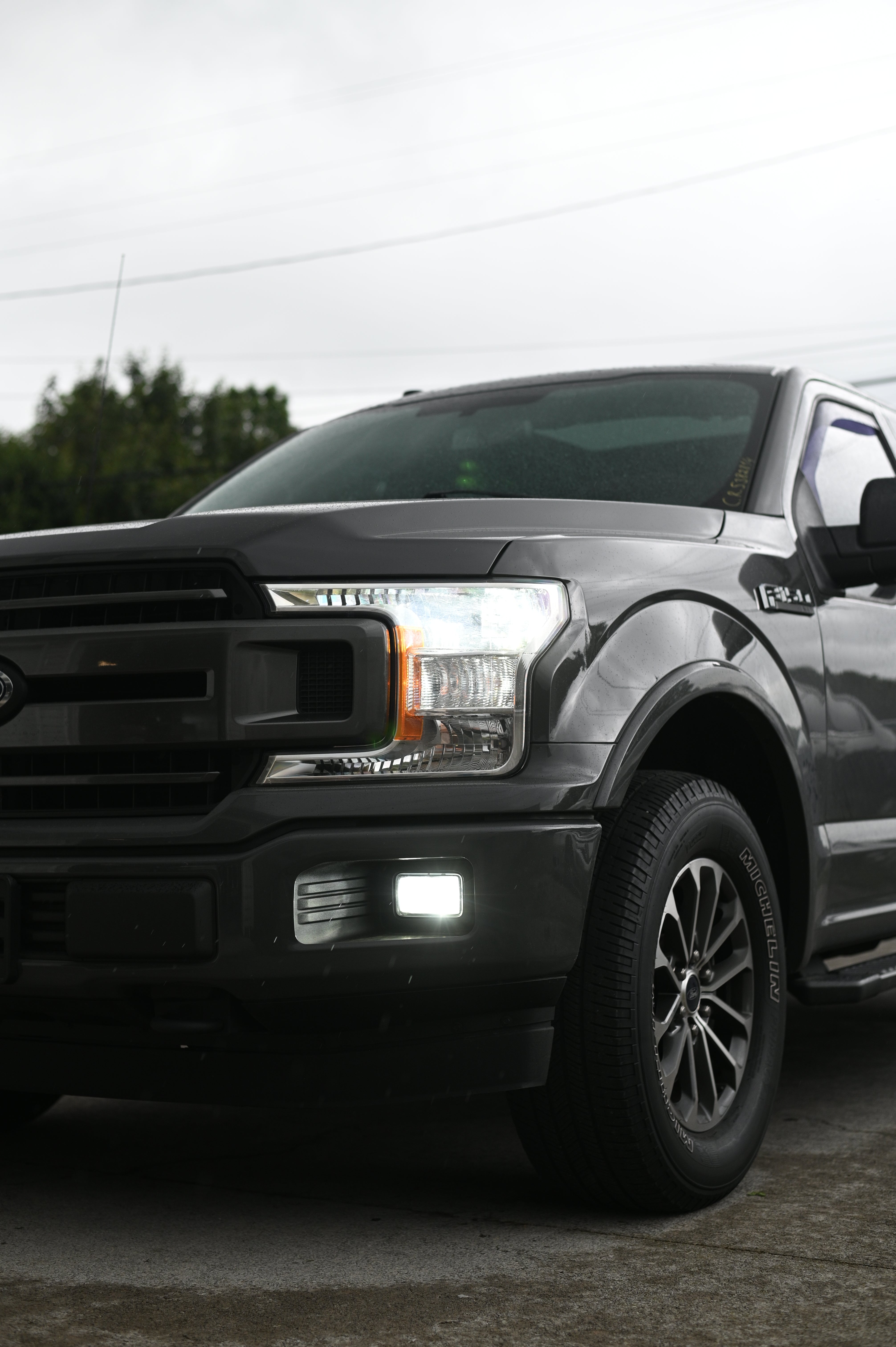 F150 2015-2020 Low Beam LED Dust Covers